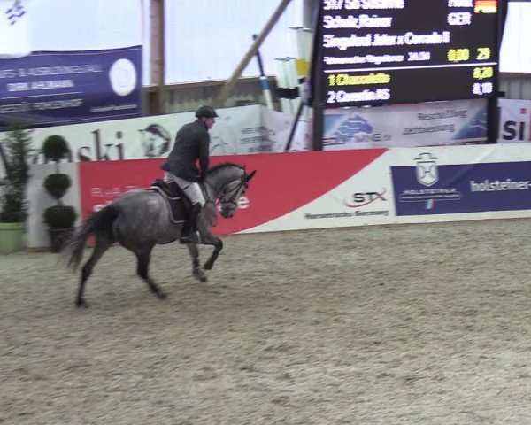 Nordic Jumping events 2019