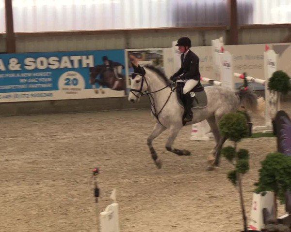 Nordic Jumping events 2019