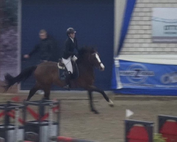 Reitturnier Lathen 2019