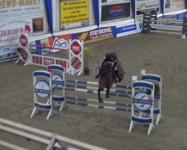 Reitturnier Lathen 2019