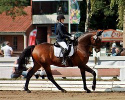 dressage horse Richmond 22 (Hanoverian, 1999, from Rosentau)