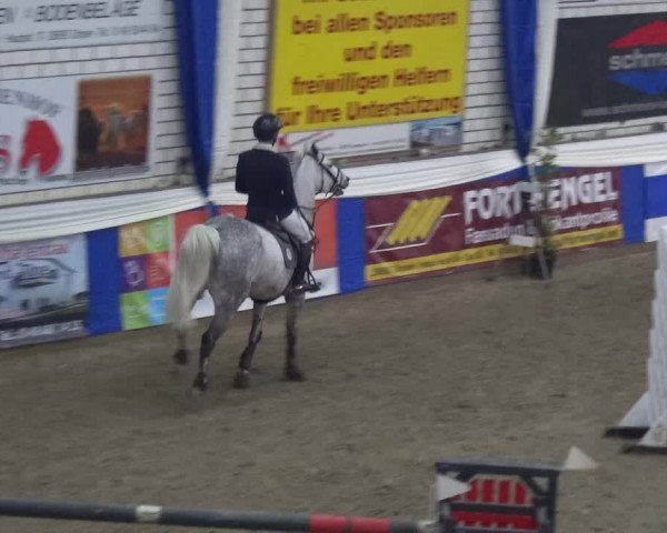 Reitturnier Lathen 2019