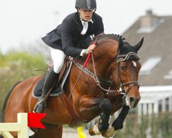 stallion Radieux (Belgian Warmblood, 1994, from Heartbreaker)