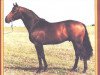 Deckhengst Eloge (Schwedisches Warmblut, 1984, von Eminent)