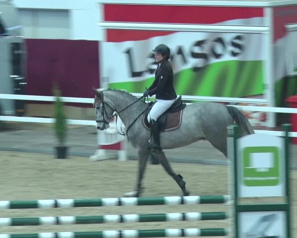 Reitturnier Neustadt/Dosse 2019