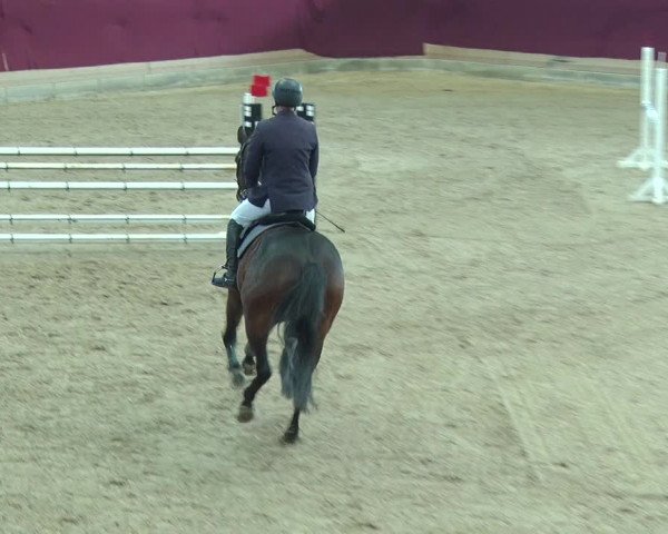 Reitturnier Neustadt/Dosse 2019