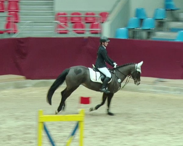 Reitturnier Neustadt/Dosse 2019