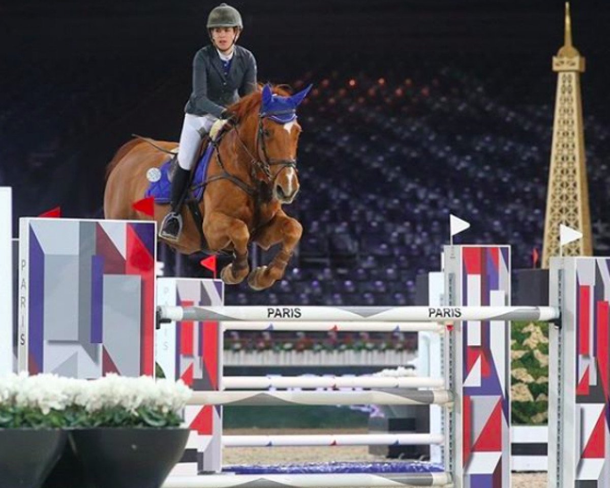 Springpferd Creme van het Steentje (Belgisches Warmblut, 2002, von Kashmir van't Schuttershof)