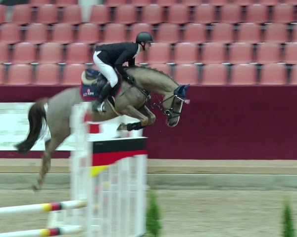 Reitturnier Neustadt/Dosse 2019