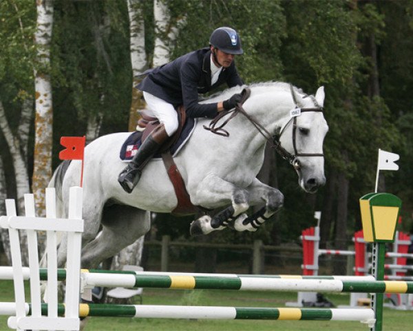 stallion Doremi (Belgian Warmblood, 2003, from Quidam de Revel)