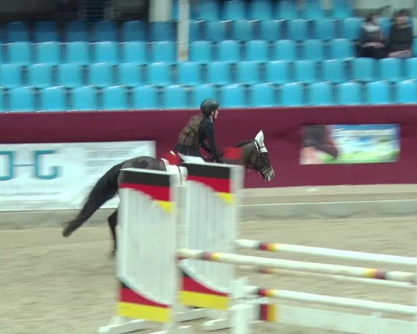 Reitturnier Neustadt/Dosse 2019