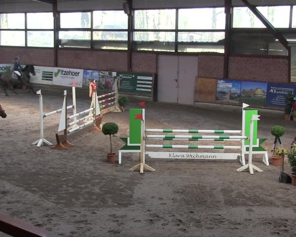 Reitturnier Hamburg-Friedrichshulde/Sylva Kuhrt 2019