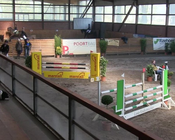 Reitturnier Hamburg-Friedrichshulde/Sylva Kuhrt 2019