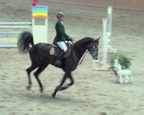 Reitturnier Prussendorf 2019