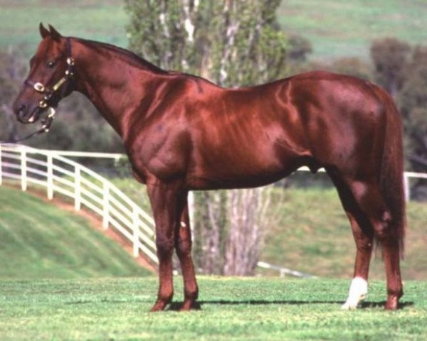 stallion Luskin Star xx (Thoroughbred, 1974, from Kaoru Star xx)