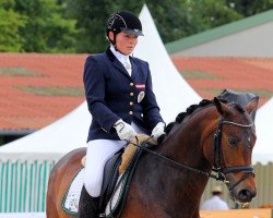 dressage horse Bartlgut's Quarz (German Sport Horse, 2008, from Quaterback)