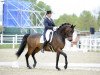 dressage horse Royal Classic (Oldenburg, 2004, from Royal Diamond)