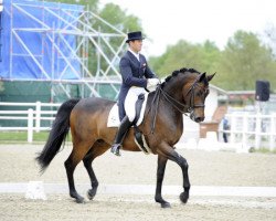 dressage horse Royal Classic (Oldenburg, 2004, from Royal Diamond)