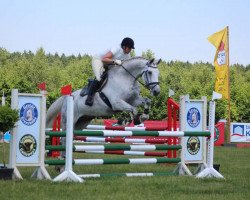 eventing horse Saverio Son (Mecklenburg, 2004, from Saverio)