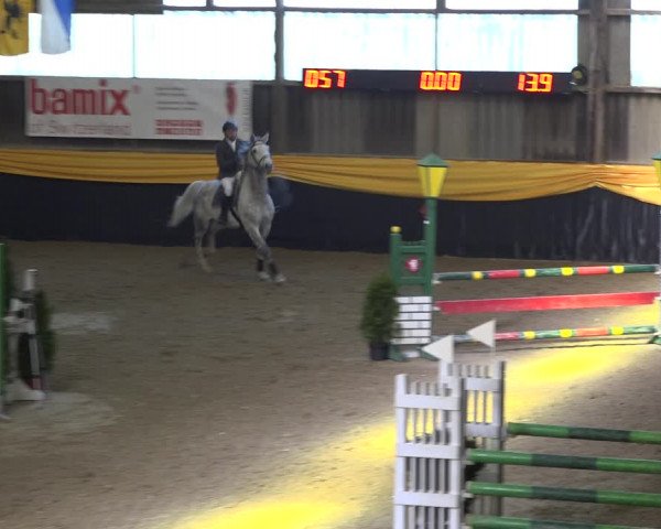 Reitturnier Erlen 2019