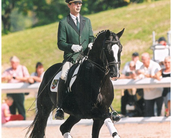 stallion Hudson (Hanoverian, 1996, from Hohenstein I)