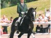 stallion Hudson (Hanoverian, 1996, from Hohenstein I)
