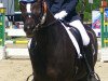 dressage horse Polly 424 (Schlesier, 2009, from Bulat)