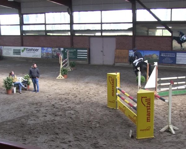 Reitturnier Hamburg-Friedrichshulde/Sylva Kuhrt 2019