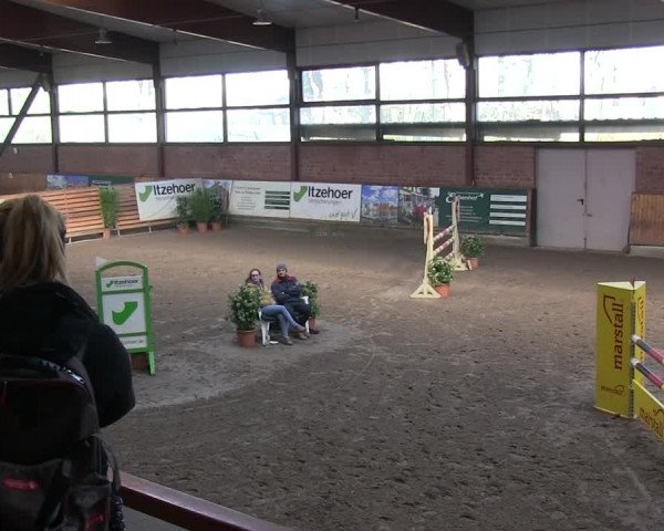 Reitturnier Hamburg-Friedrichshulde/Sylva Kuhrt 2019