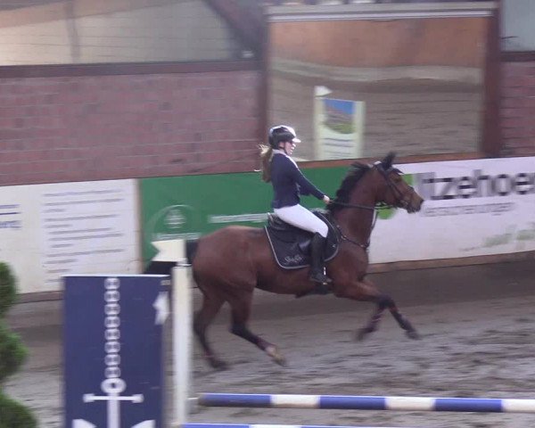 Reitturnier Hamburg-Friedrichshulde/Sylva Kuhrt 2019