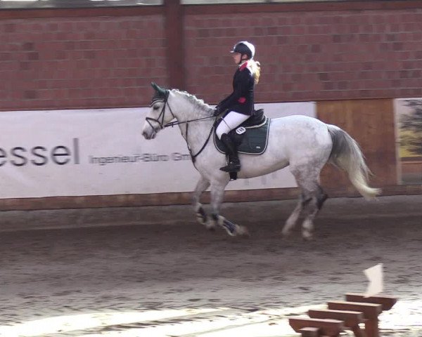 Reitturnier Hamburg-Friedrichshulde/Sylva Kuhrt 2019