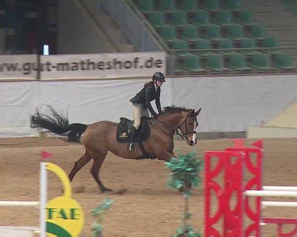 Reitturnier Kreuth/Opf. 2019