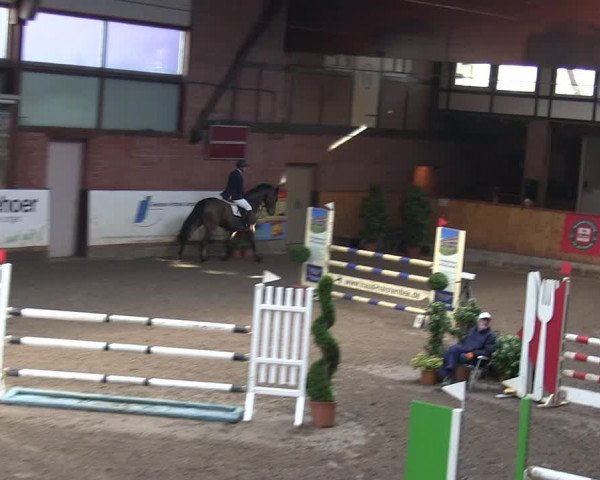 Reitturnier Hamburg-Friedrichshulde/Sylva Kuhrt 2019