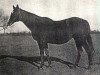 broodmare Jan Ranée xx (Thoroughbred,  , from Grand Parade xx)