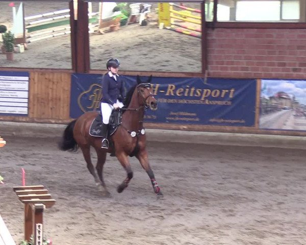 Reitturnier Hamburg-Friedrichshulde/Sylva Kuhrt 2019