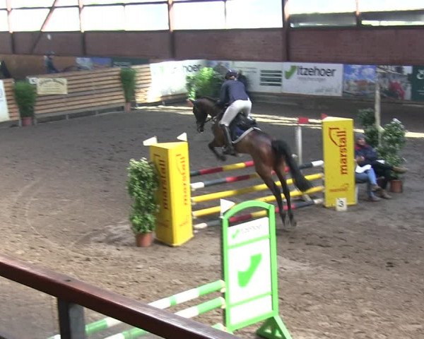 Reitturnier Hamburg-Friedrichshulde/Sylva Kuhrt 2019