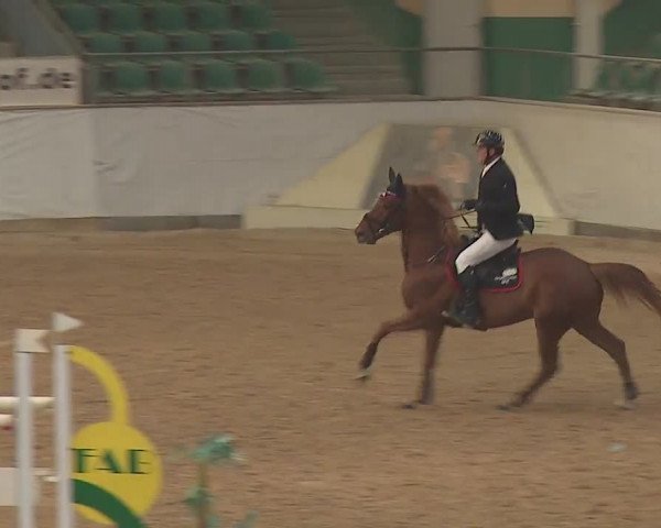 Reitturnier Kreuth/Opf. 2019