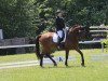 dressage horse Felix Rubino (Bavarian, 2005, from Florestan I)