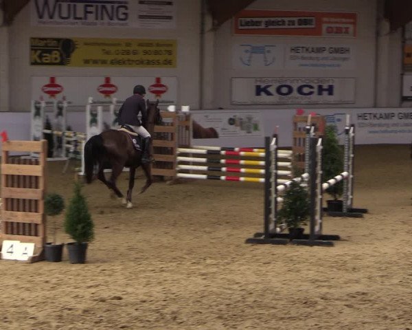 Reitturnier Borken 2019