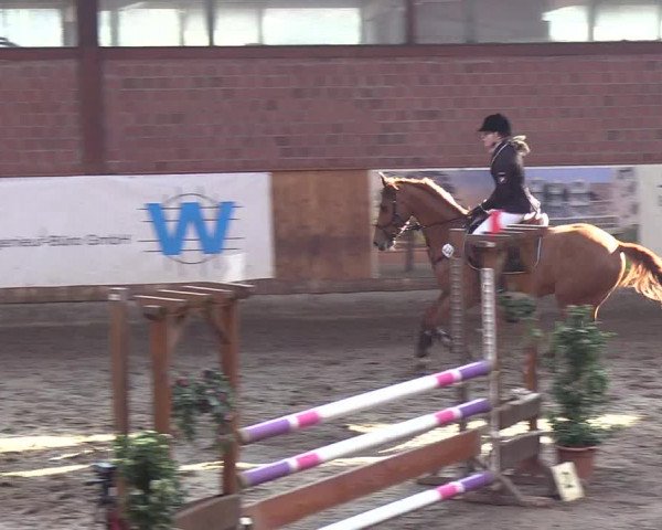 Reitturnier Hamburg-Friedrichshulde/Sylva Kuhrt 2019