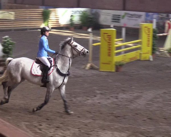 Reitturnier Hamburg-Friedrichshulde/Sylva Kuhrt 2019