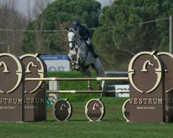 jumper Kec Corsica (Irish Sport Horse, 2003, from Corghano)