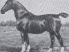 stallion Nordhaeuser (Holsteiner, 1921, from Elegant)