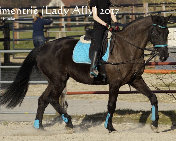 broodmare Lady Ally (Mecklenburg, 1995, from Lord Kemm)