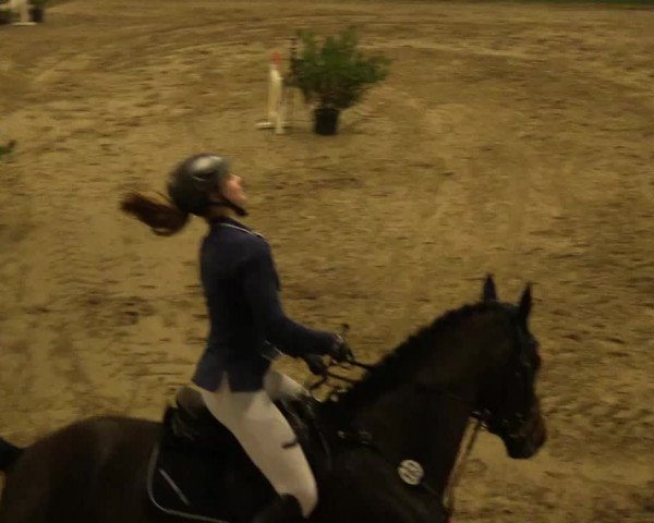Reitturnier Keppeln - Reitanlage "Hötzenhof" 2019