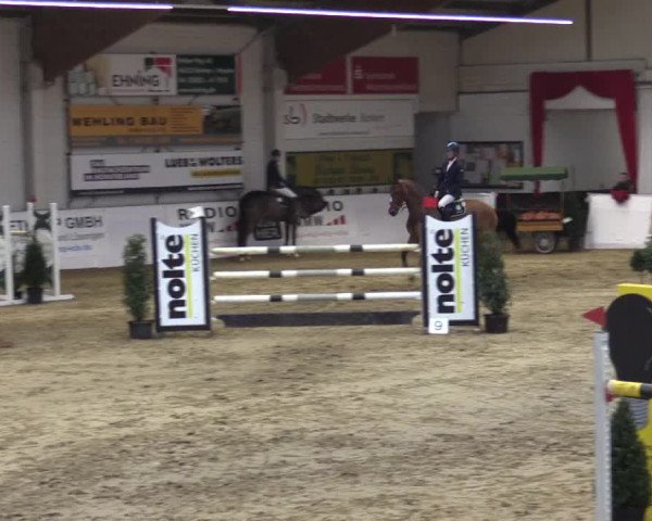 Reitturnier Borken 2019