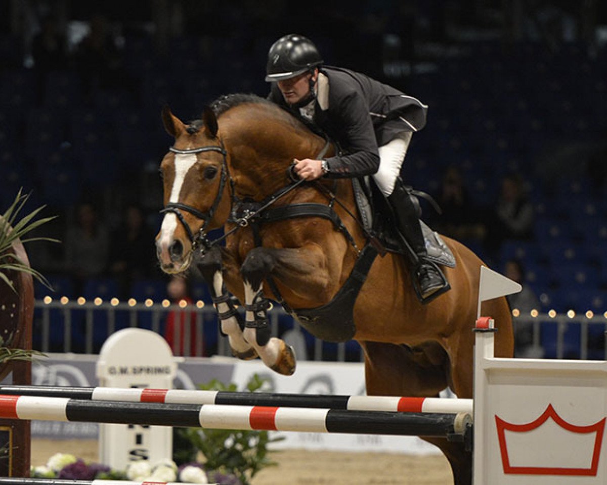stallion Heartbeat (KWPN (Royal Dutch Sporthorse), 2001, from Heartbreaker)