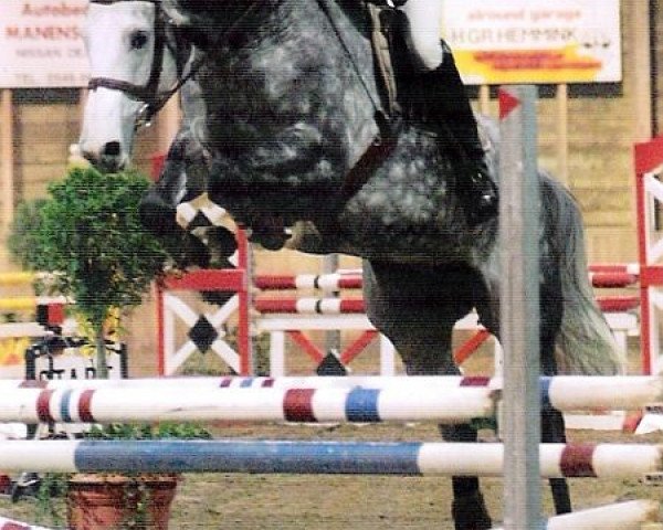 broodmare Utah NL (KWPN (Royal Dutch Sporthorse), 2001, from Lux Z)