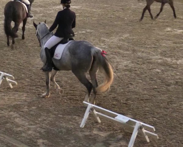 Reitturnier Keppeln - Reitanlage "Hötzenhof" 2019
