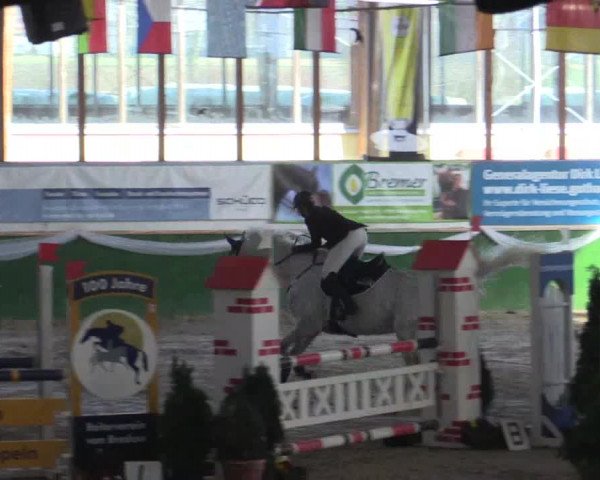 Reitturnier Keppeln - Reitanlage "Hötzenhof" 2019